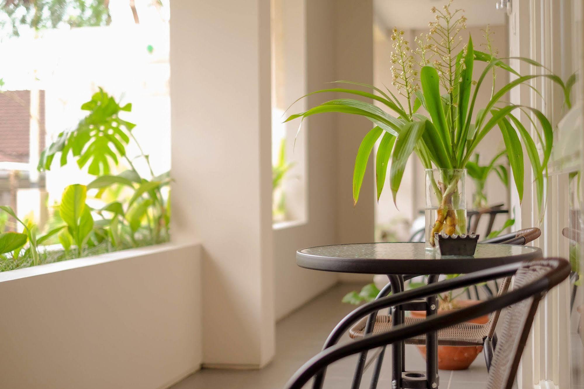 Bali True Living Apart otel Denpasar Dış mekan fotoğraf